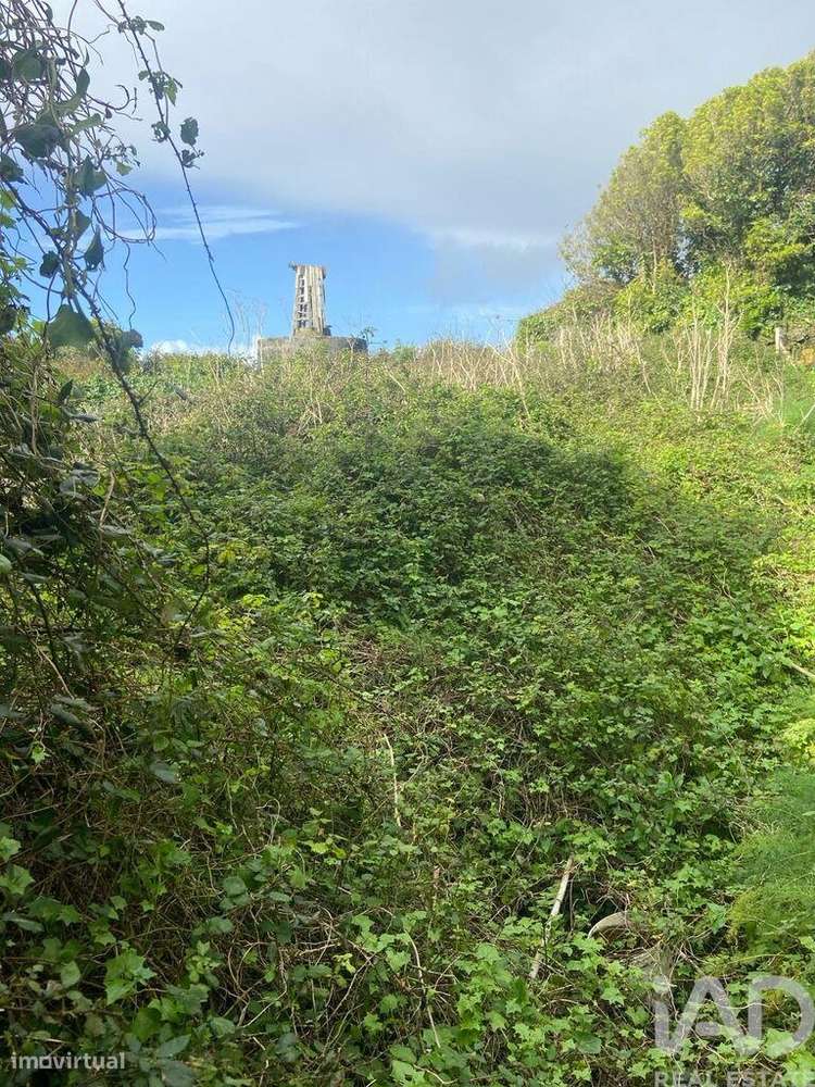 Casa de Campo T2 em Santo Amaro de 36,00 m2 - Grande imagem: 4/14