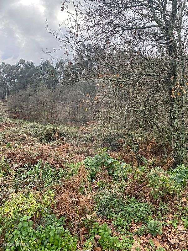 Terreno  para venda - Grande imagem: 4/6