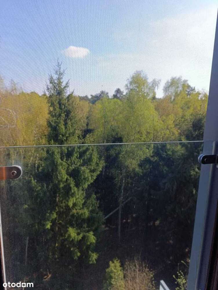 Apartament typu Penthouse Golden Tulip-15