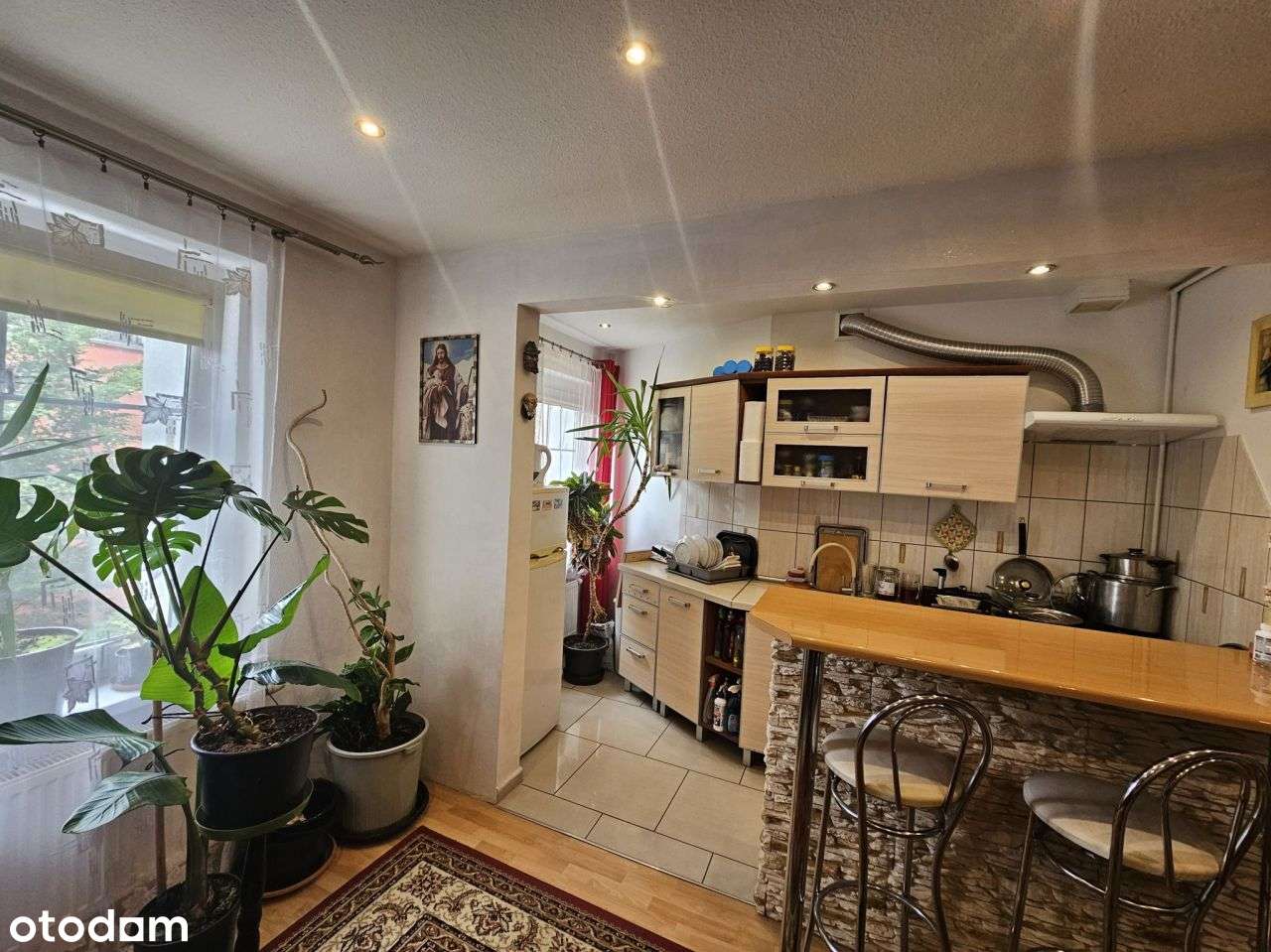 Mieszkanie dwupokojowe w Śródmieściu Opola - Pełny obrazek: 3/10