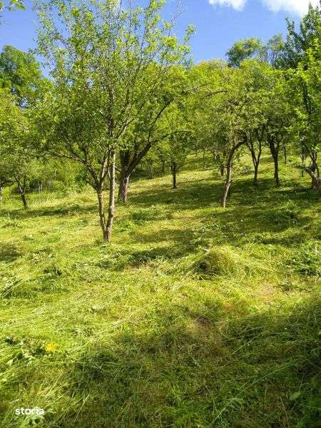 Vand casa cu teren la tara, intr-o zona deosebita - Imagine principală: 4/6