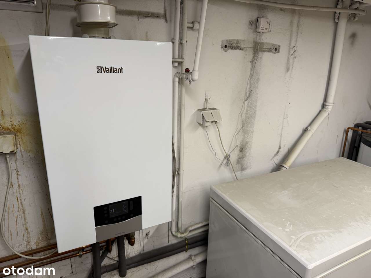 Dom z potencjałem! HALEMBA-9