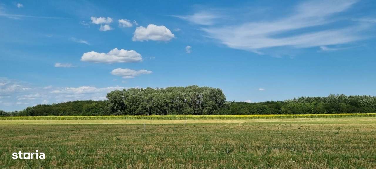 Loturi de teren 638 mp - curent tras la teren - Crevedia - Imagine principală: 4/11