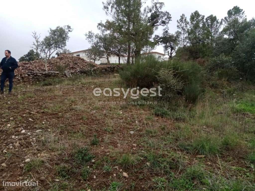 Terreno Rústico no centro das Benquerenças com bom acesso - Grande imagem: 3/11
