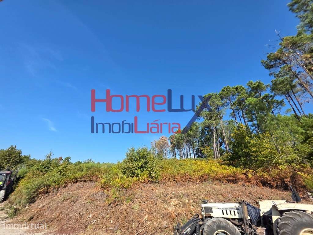 Terreno para venda em Castro Daire - Grande imagem: 5/9