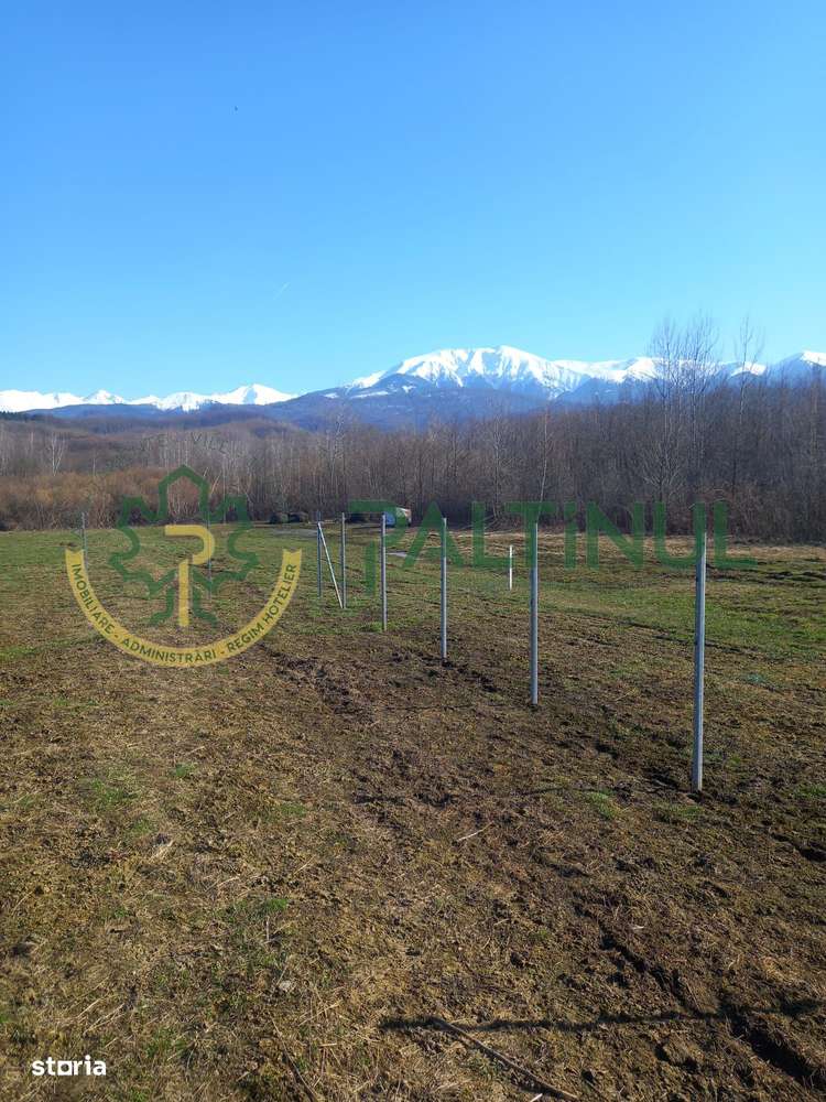 Vindem teren Sibiu, Valea Lupului, priveliste deosebita-2