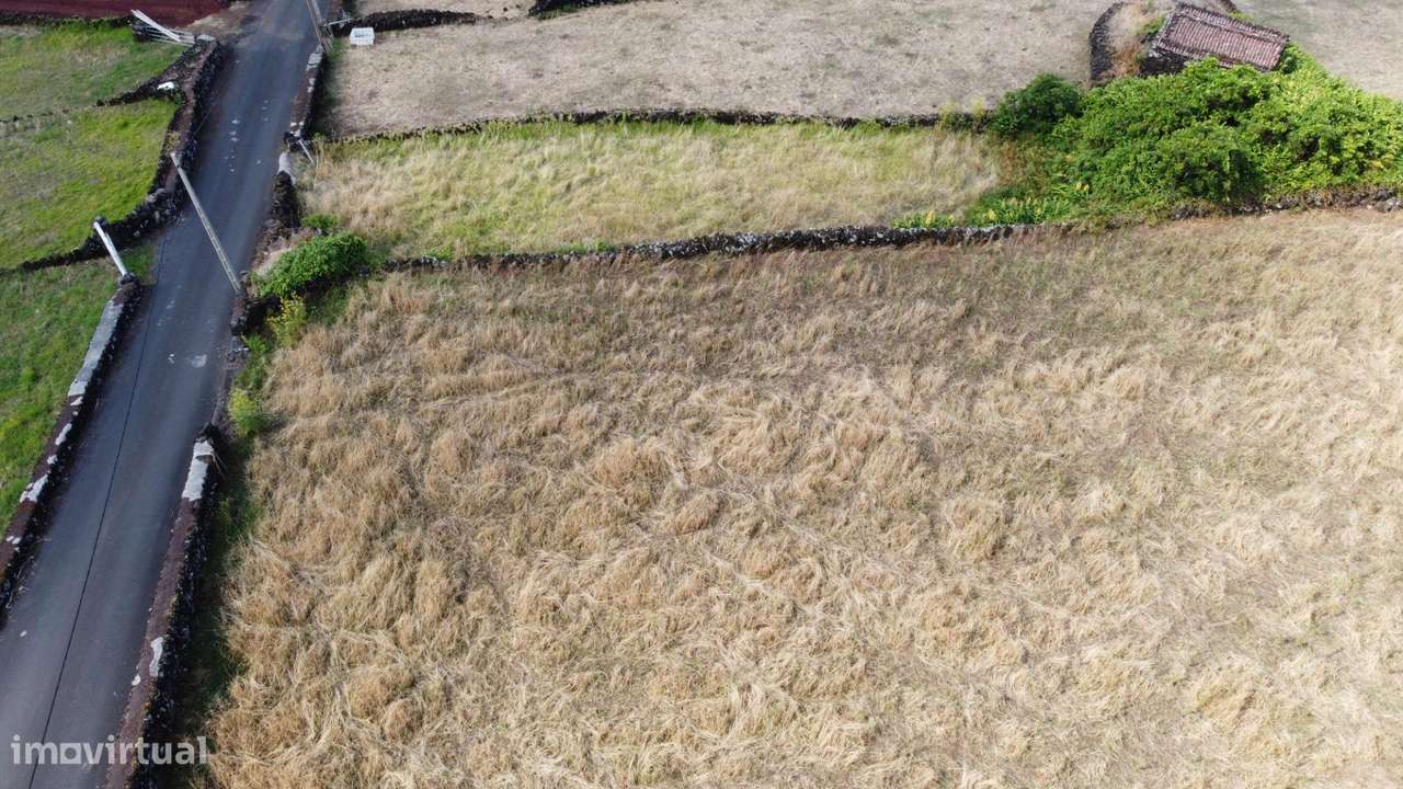 Terreno em Santo Amaro (PIco)-5