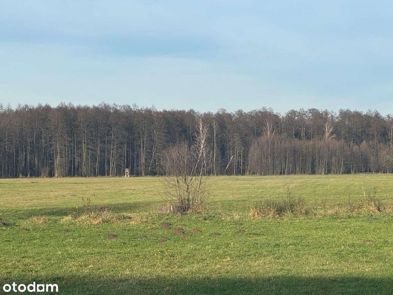 Siedlisko z działką o powierzchni 2,3h-2