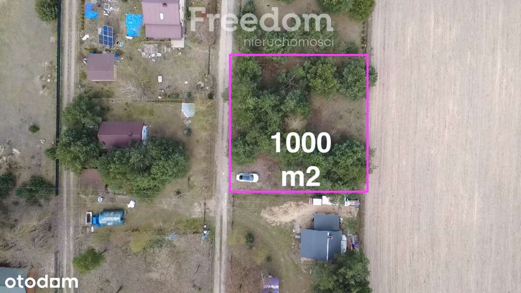 Okazja piękna działka w Joniec Kolonia super cena - Pełny obrazek: 4/20