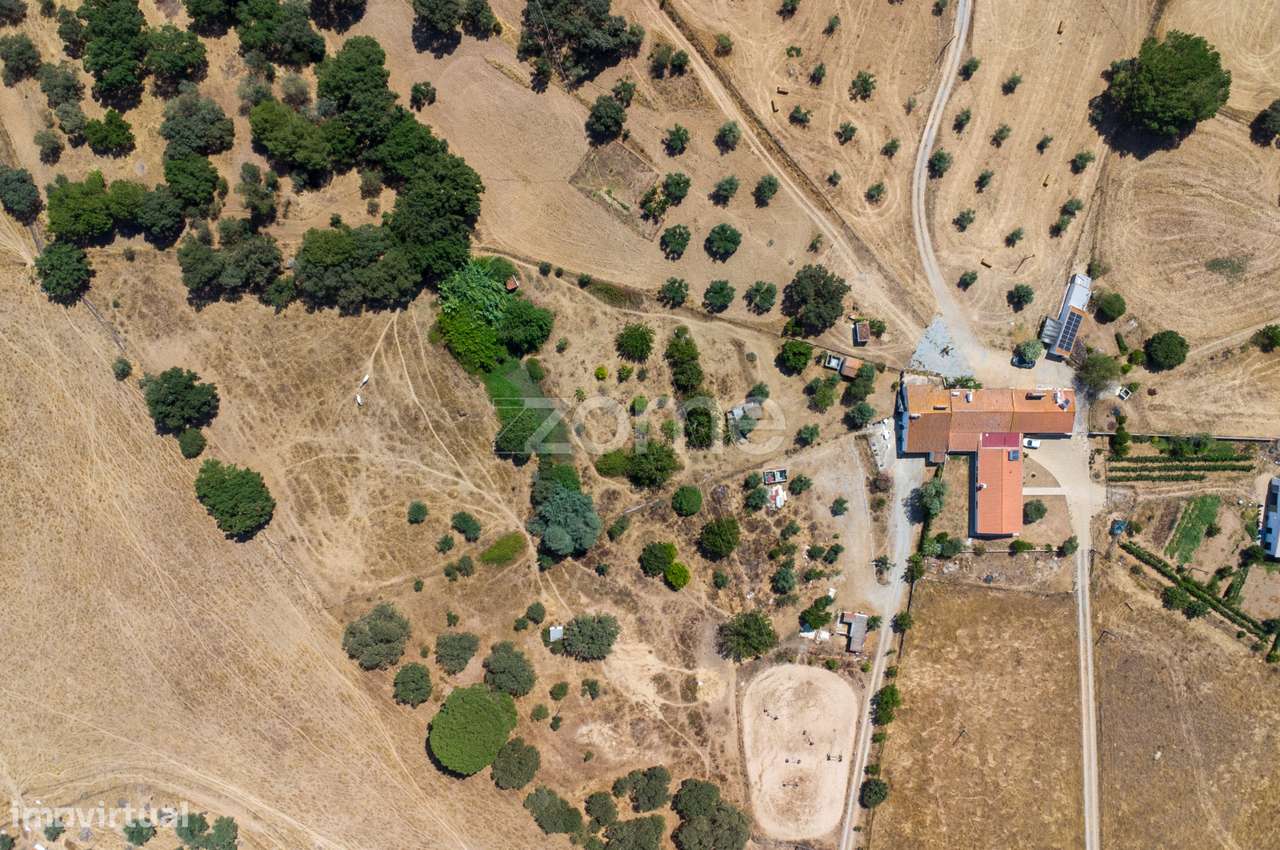 Monte Típico Alentejano com Projeto de Ampliação – Montemor-o-Novo... - Grande imagem: 3/38