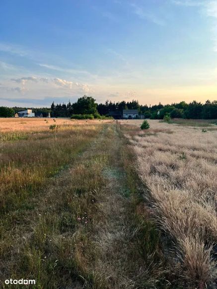 Działka przy rzece. Możliwość zabudowy.