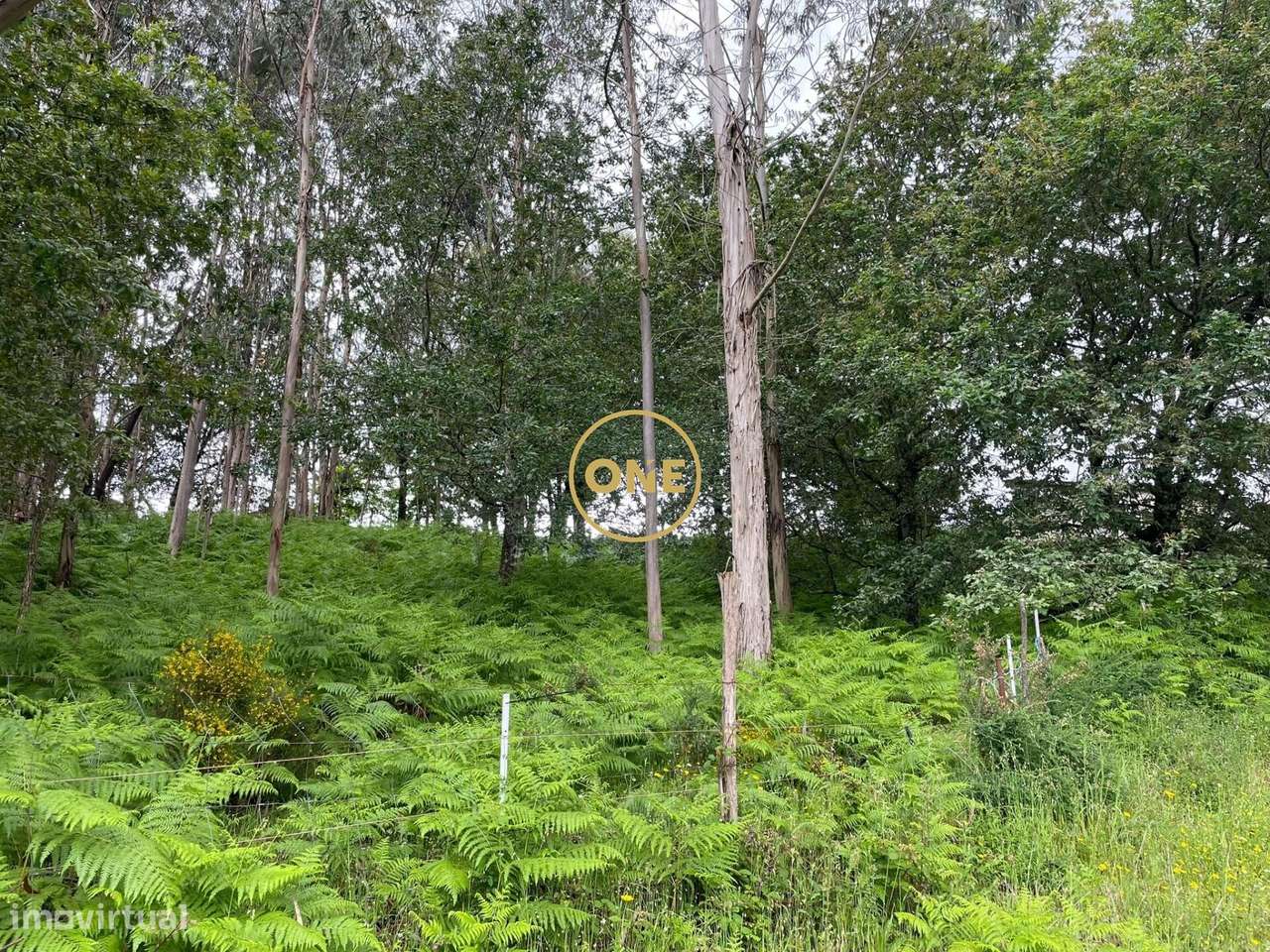 Venda Terreno - Grande imagem: 2/11