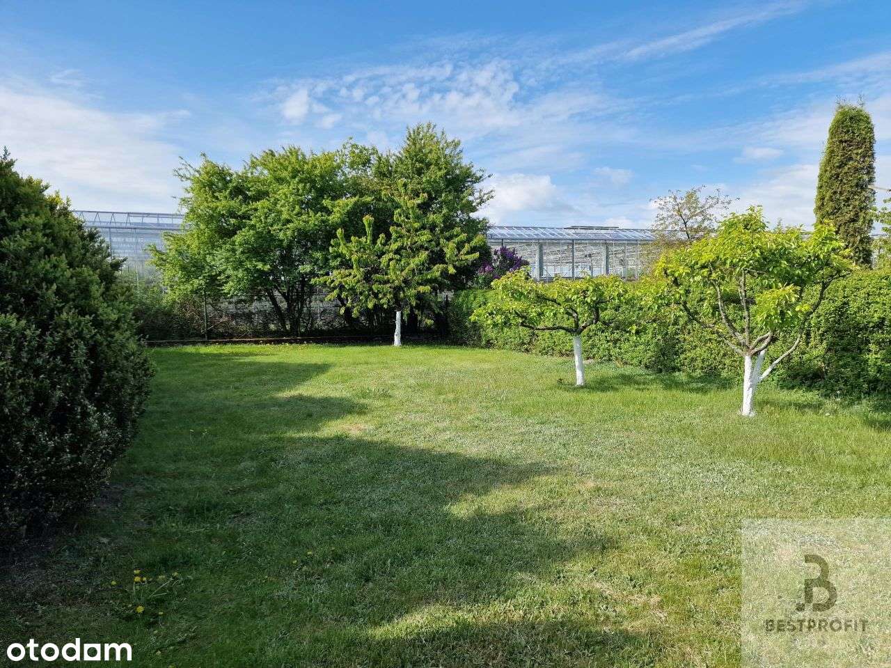 Dom z 2 mieszkaniami, działka mieszkalno usługowa - Pełny obrazek: 5/20