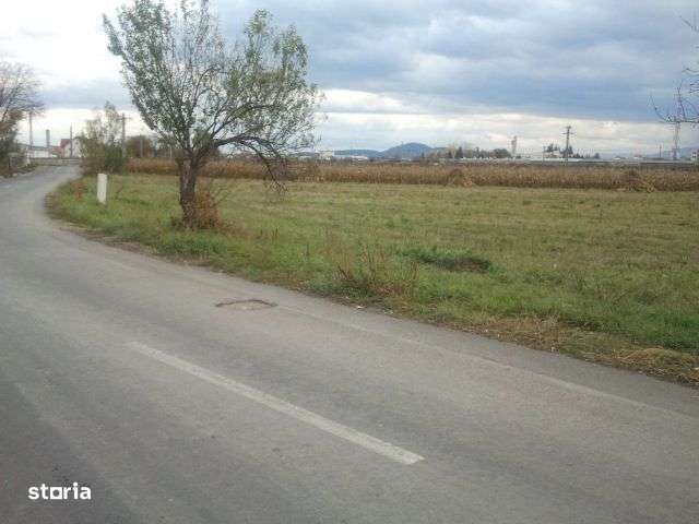 Teren in suprafata de 70.000 mp situat in Stupini strada Merilor! - Imagine principală: 2/2