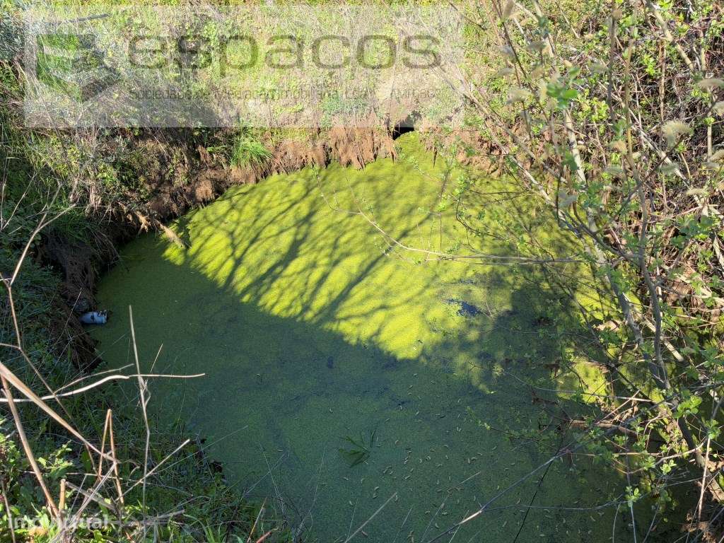 Quinta com magnifica lagoa privada - Grande imagem: 4/46