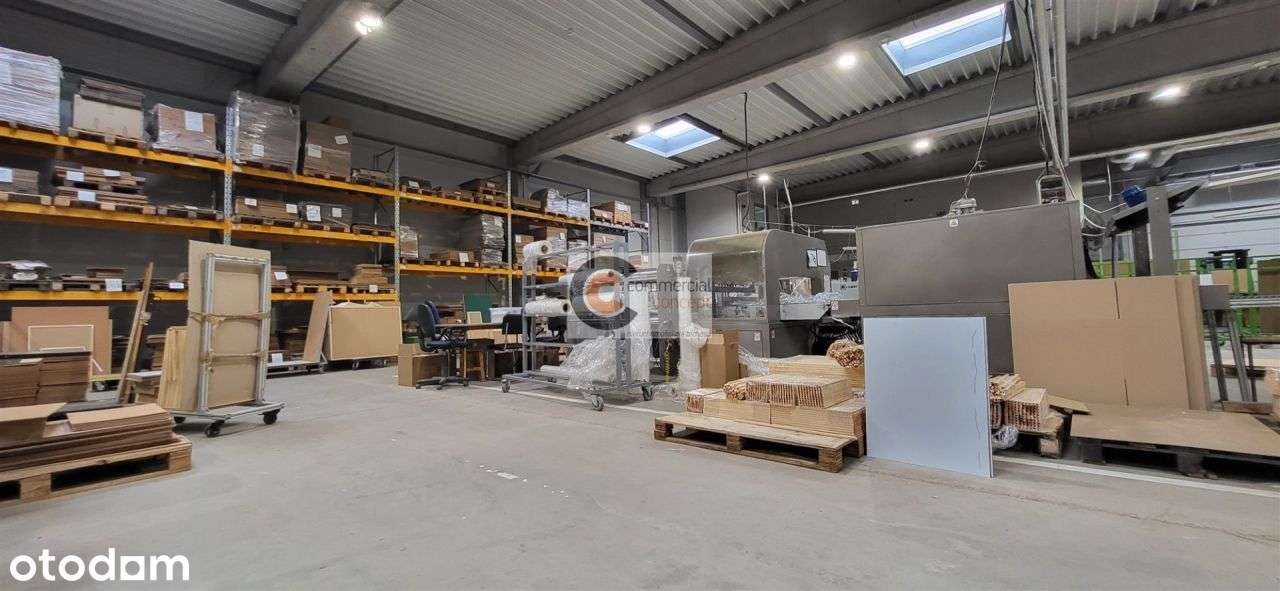 Hala magazynowo-produkcyjna z placem składowym - Pełny obrazek: 4/12