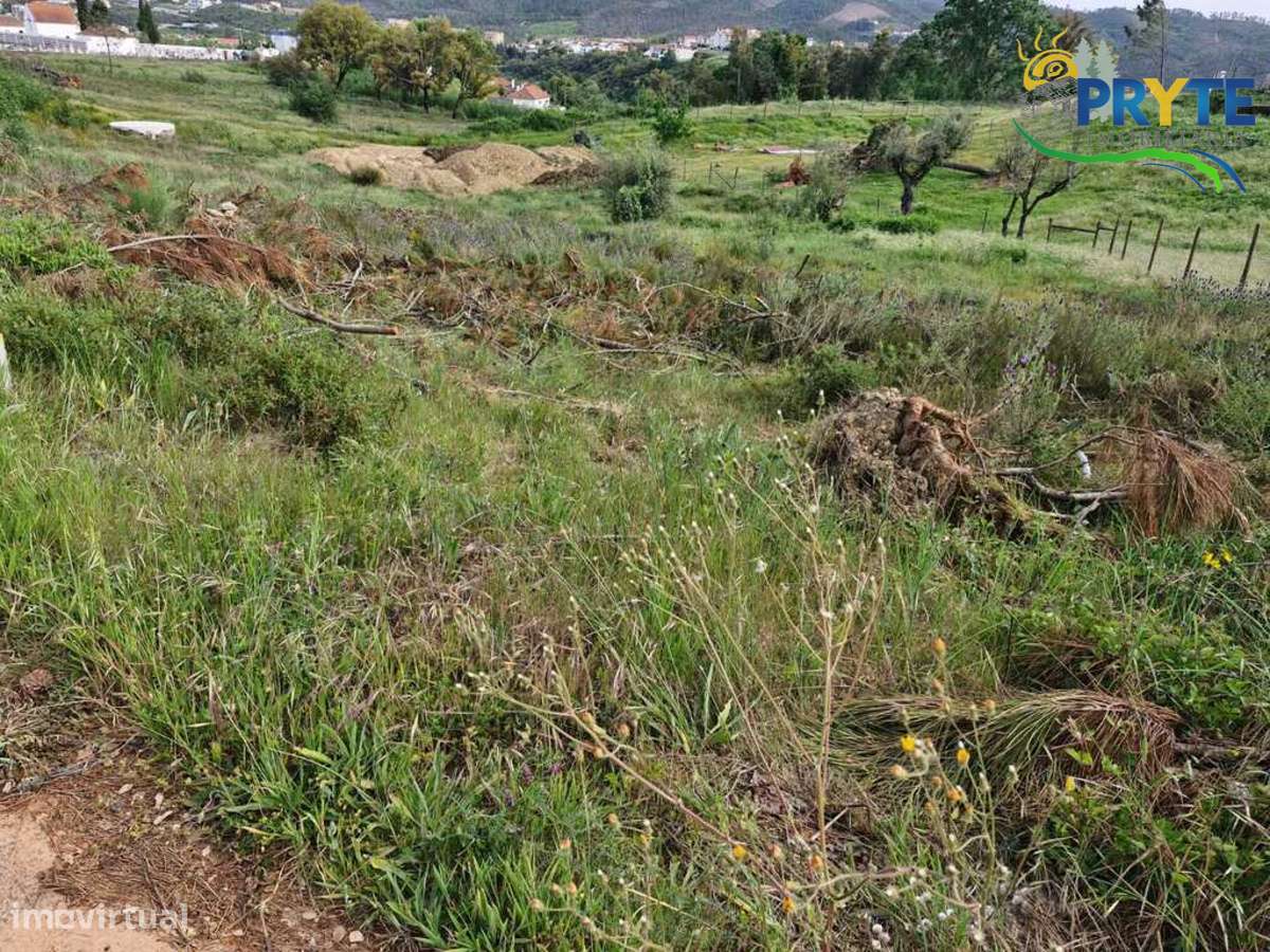 Terreno Para Construção situado na Vila da Sertã-3