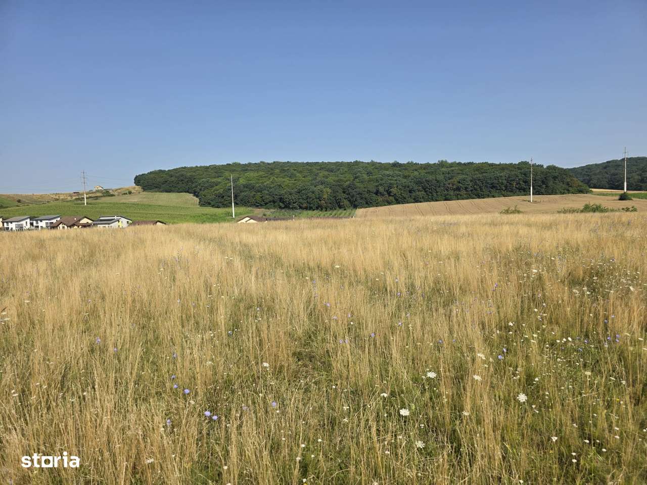 Teren in Sancraiul de Mures, 5800 mp, utilitati la 50 m, padure - Imagine principală: 3/6