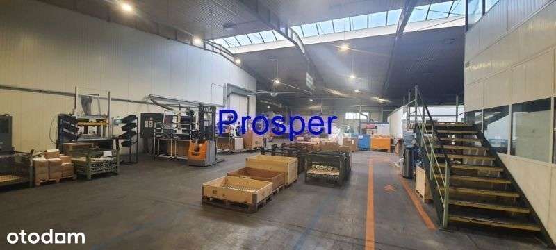 Produkcja wys.5- 7,90m prą 200kw - Pełny obrazek: 4/5