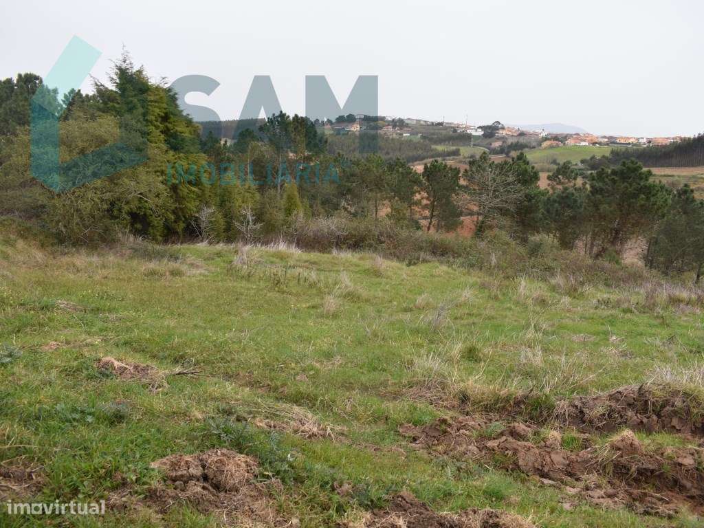 Terreno Rústico - Grande imagem: 4/9