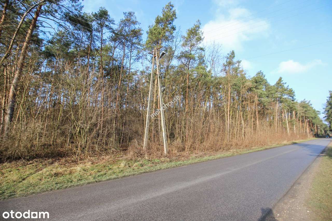 Działka budowlana 1690mkw dojazd asfaltowy. - Pełny obrazek: 1/6