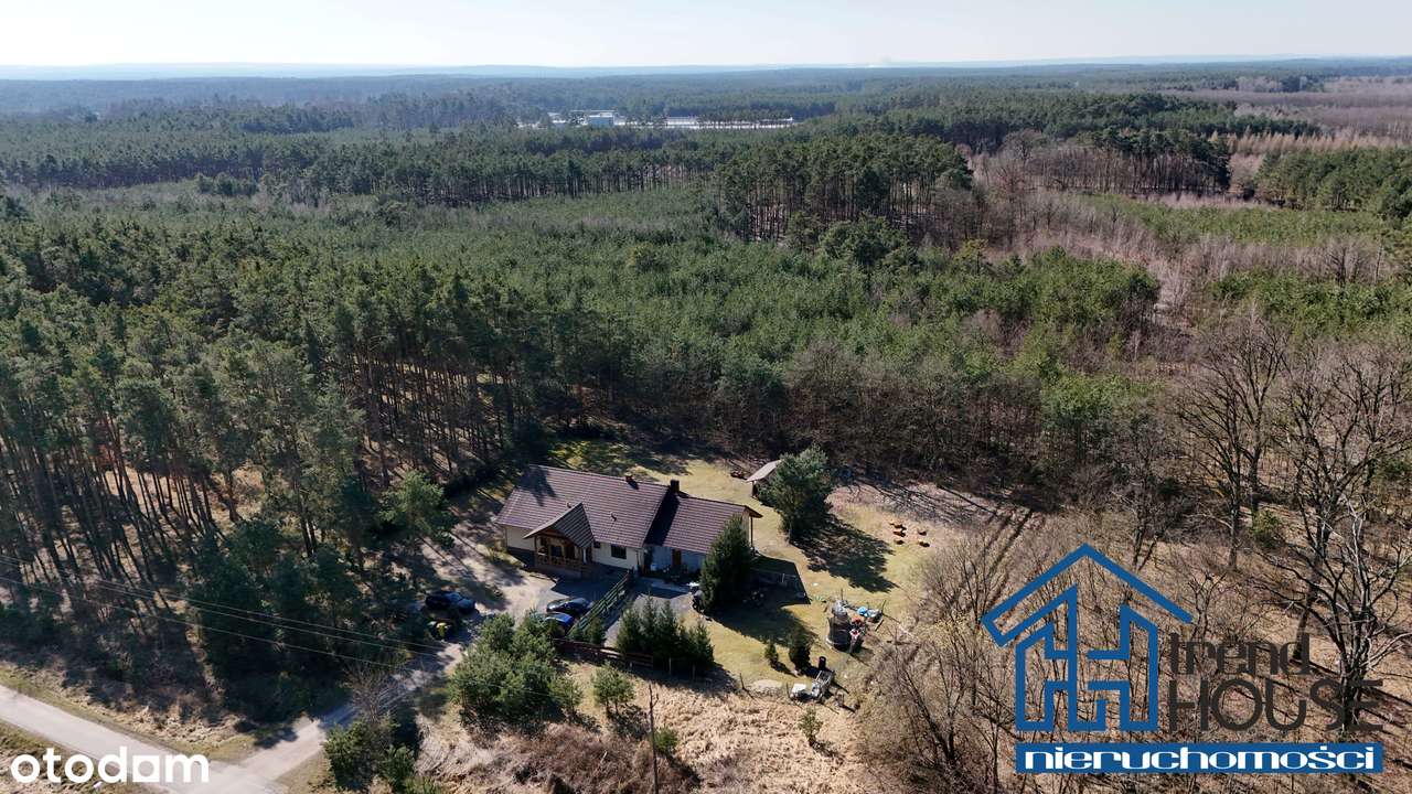 Dom otoczony zielenią z potencjałem | duża działka-17