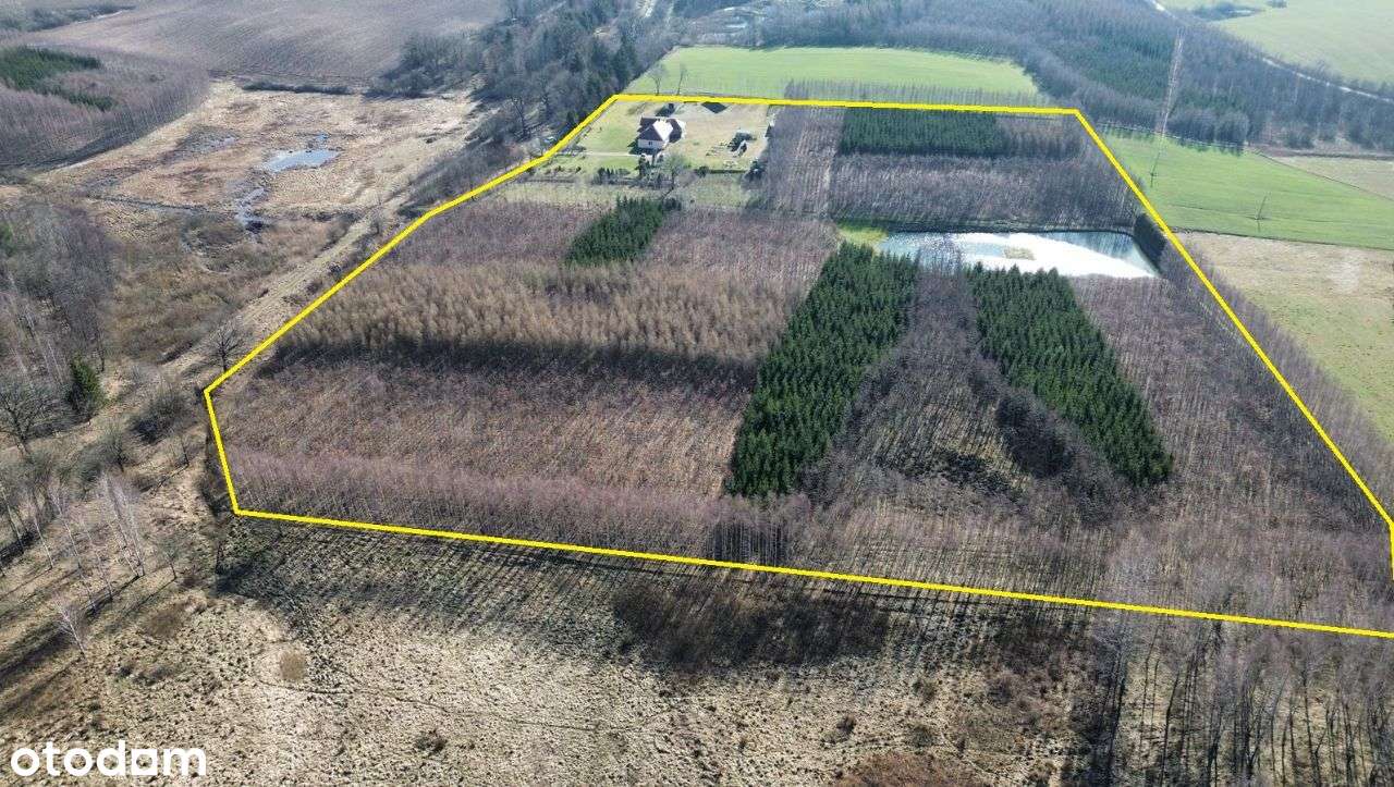 Piękne siedlisko pod lasem w sercu Warmii - Pełny obrazek: 5/18