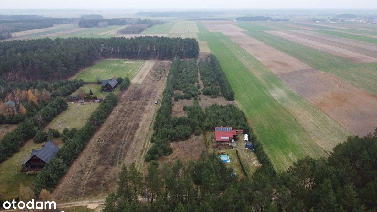 Działka budowlana z lasem-12