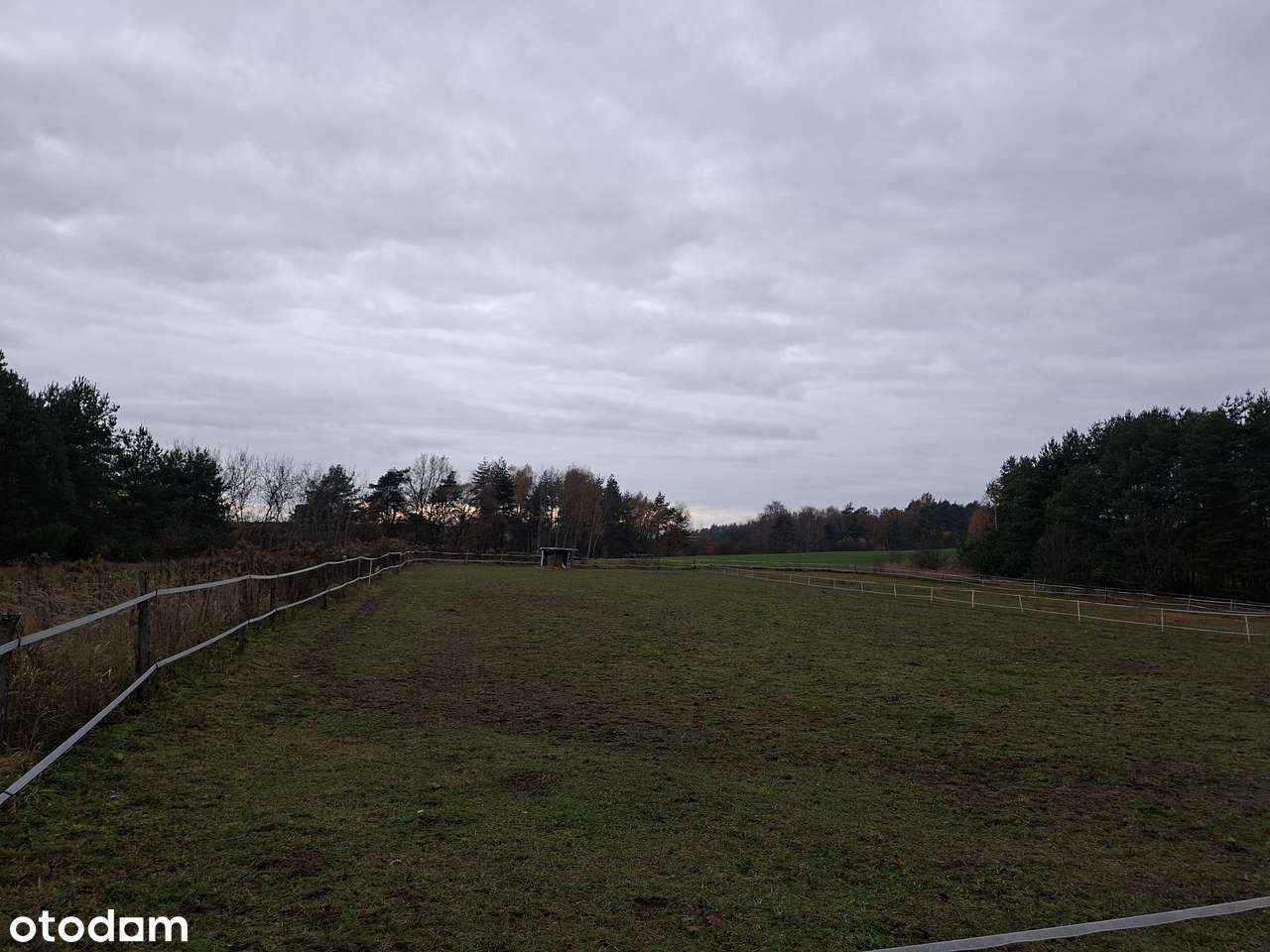 Działka budowlana 21arów - Pełny obrazek: 5/5