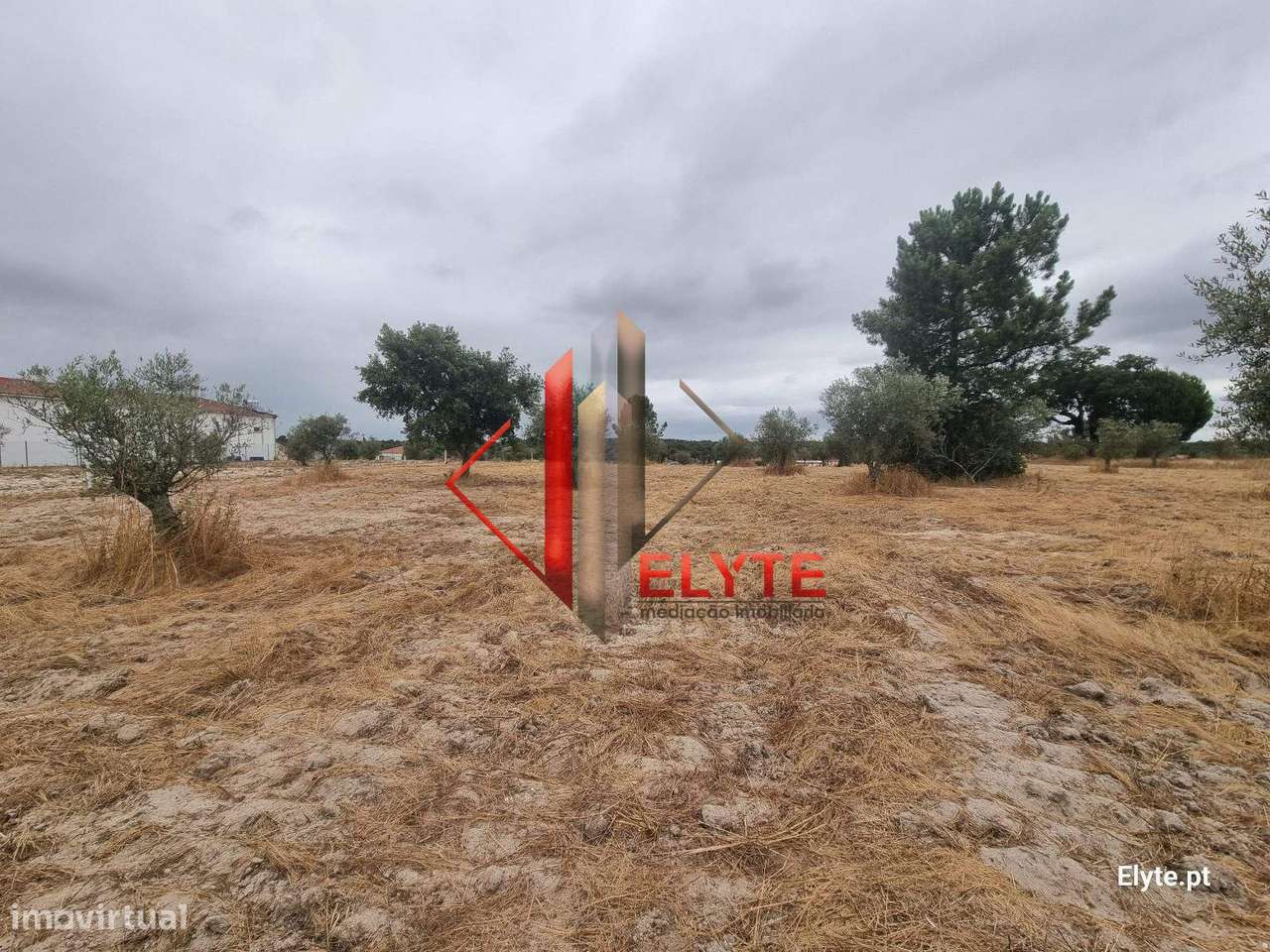 Terreno urbanizável na Branca – Coruche - Grande imagem: 4/23