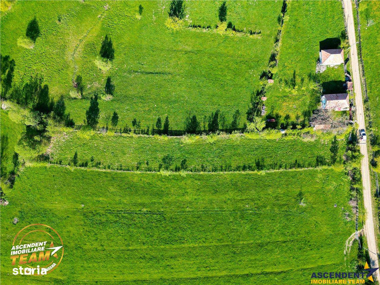 FILM! 2.063 mp de refugiu natural in localitatea Zagon, Covasna - Imagine principală: 5/7