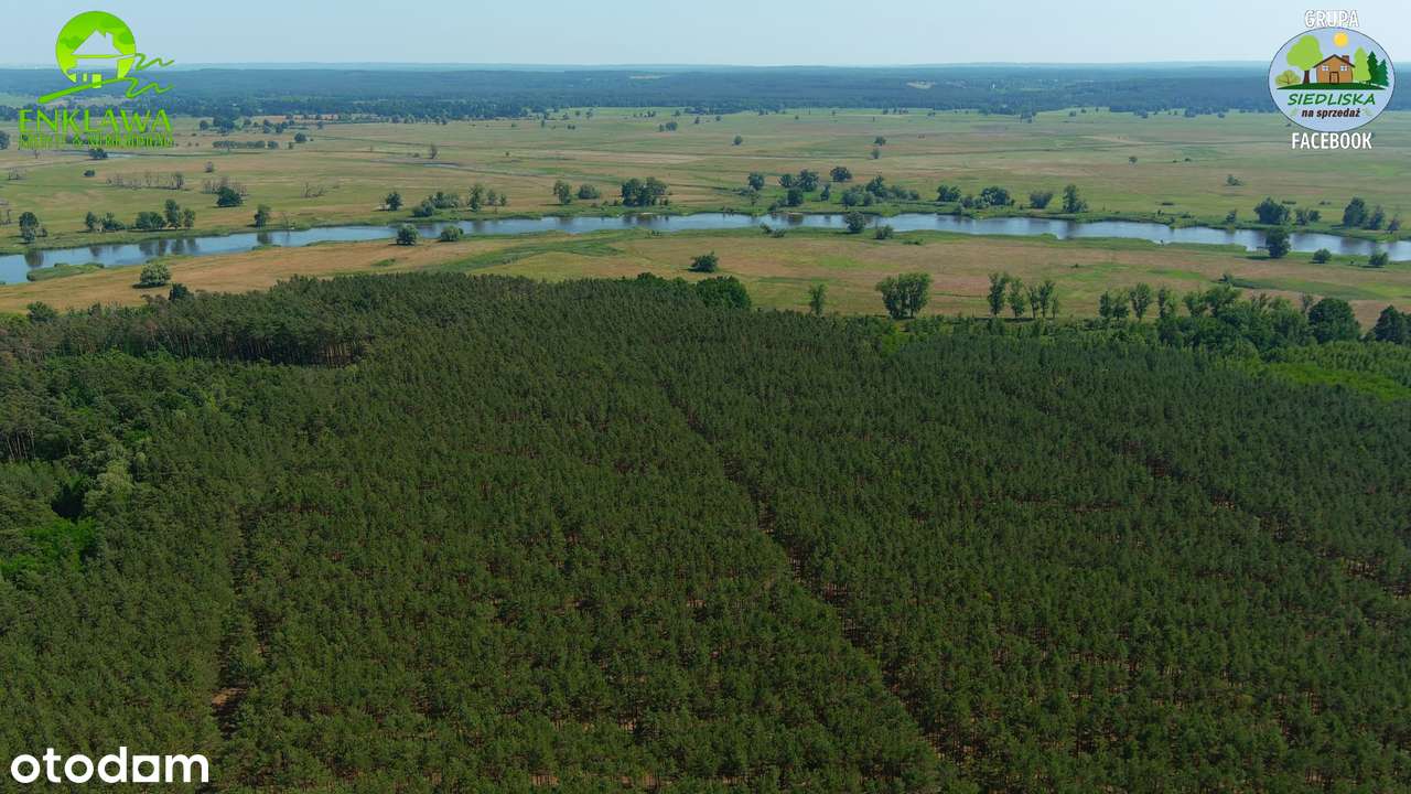 ENKLAWA prezentuje: LEŚNICZÓWKA niedaleko Krosna Odrzańskiego! CUDO!-3