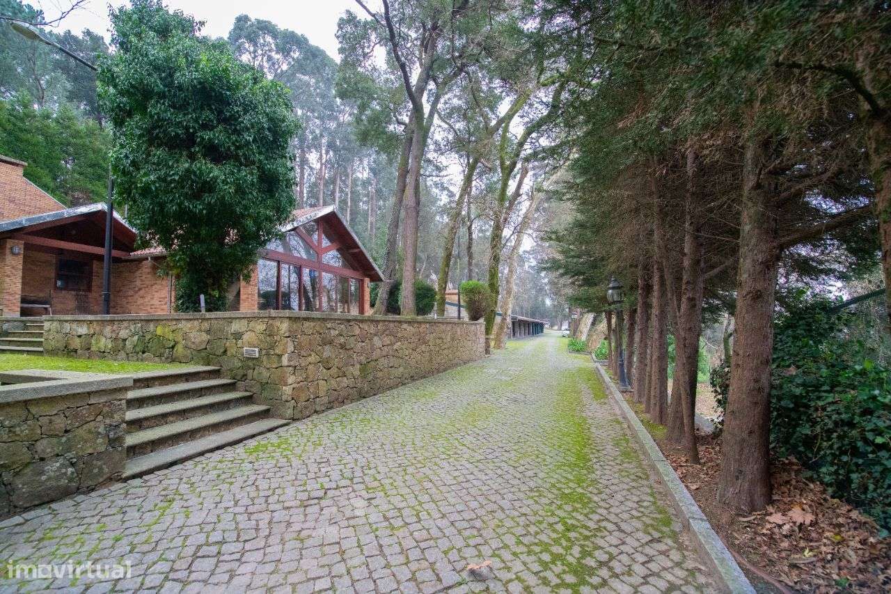 Quinta para venda em Oliveira de Azeméis-49