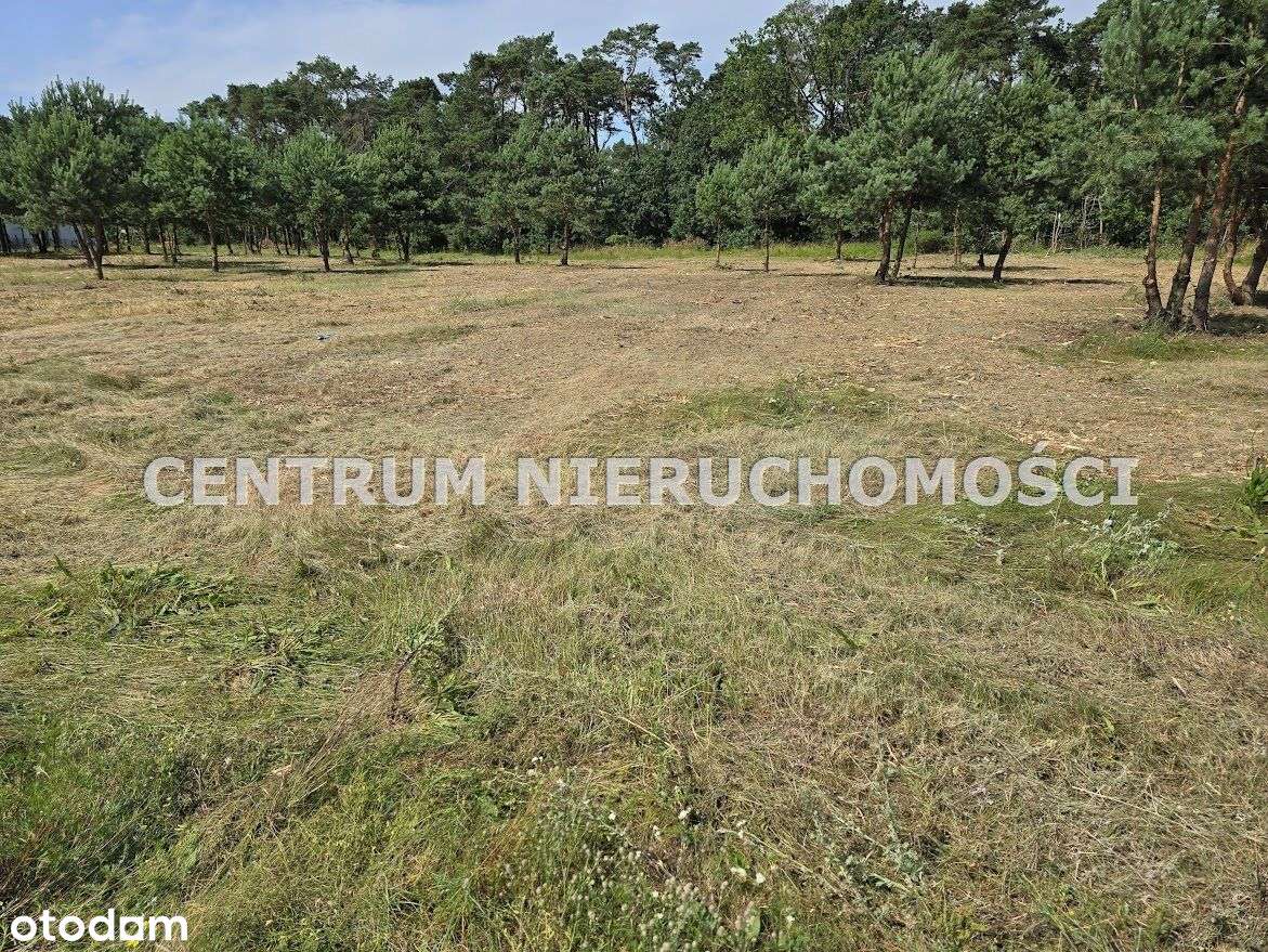 TYLKO 5 MIN SAMOCHODEM OD BYDGOSZCZY!!!ŚCIANA LASU PAŃSTWOWEGO,W Z !!!-1