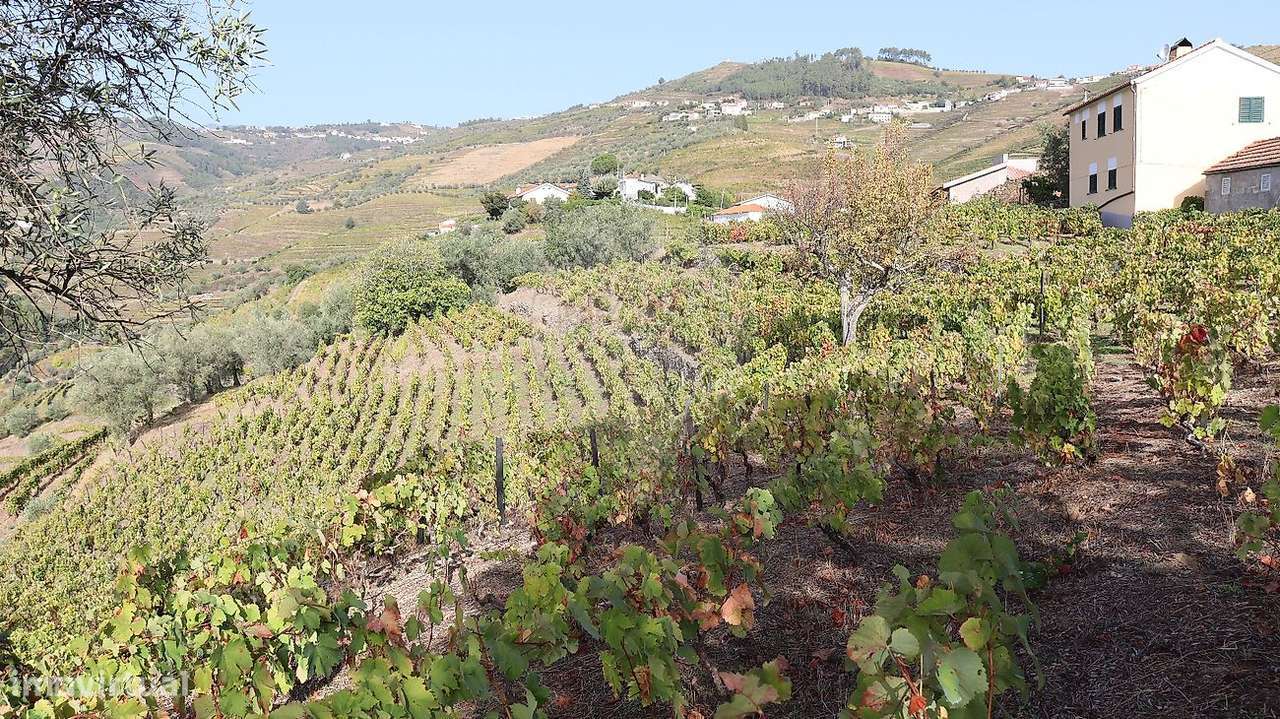 Terreno  para venda - Grande imagem: 4/9