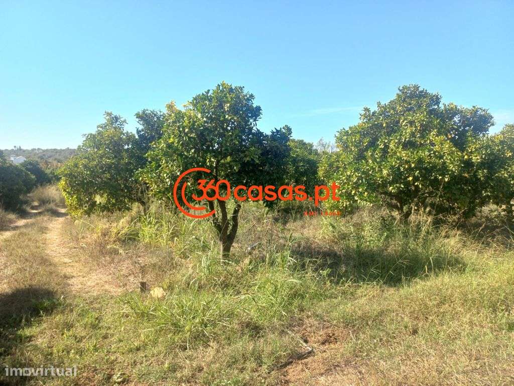 Quinta para venda em Tavira, Algarve - Grande imagem: 3/57