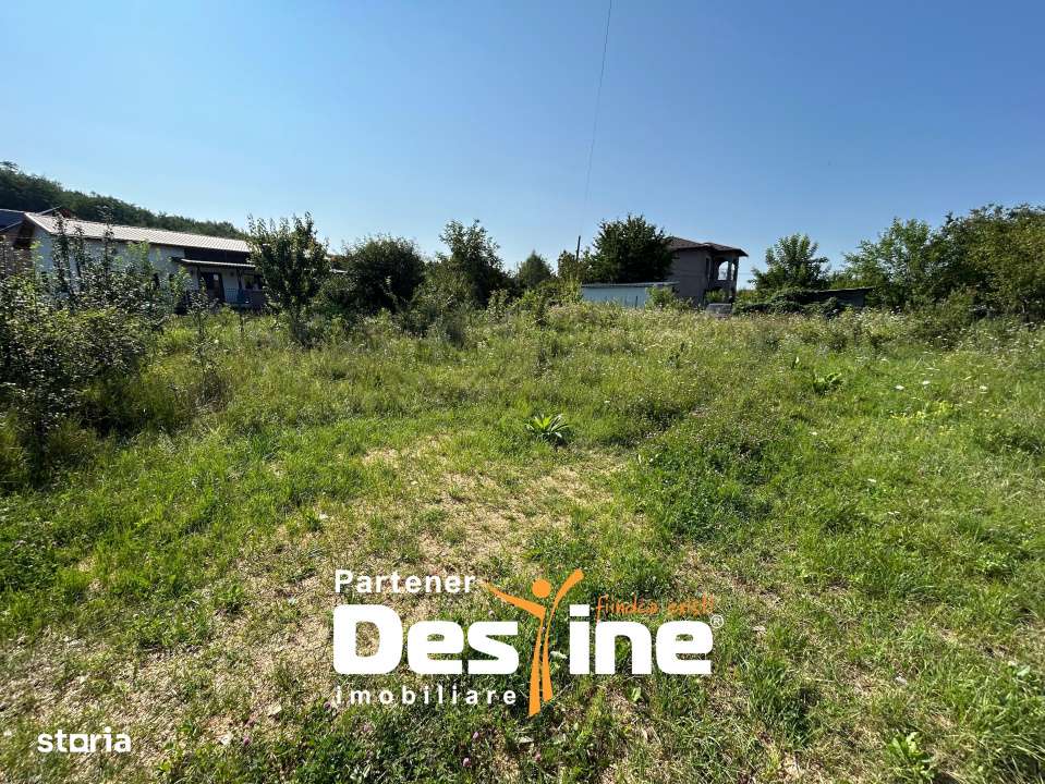 Teren Intravilan - Hlincea (Ciurea) 1000Mp - Imagine principală: 4/6