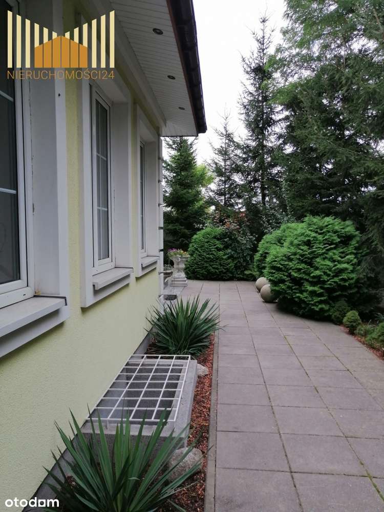 Piękny dom z potencjałem pod inwestycje - Pełny obrazek: 3/20