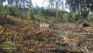Terreno para venda, Reboreda, Vila Nova de Cerveira - Grande imagem: 3/7
