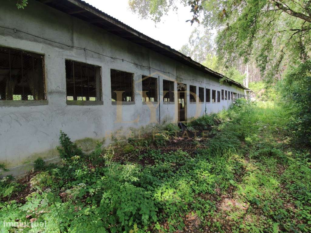 Armazém para venda em Amoreira da Gândara, Anadia | Antigos aviário...-12