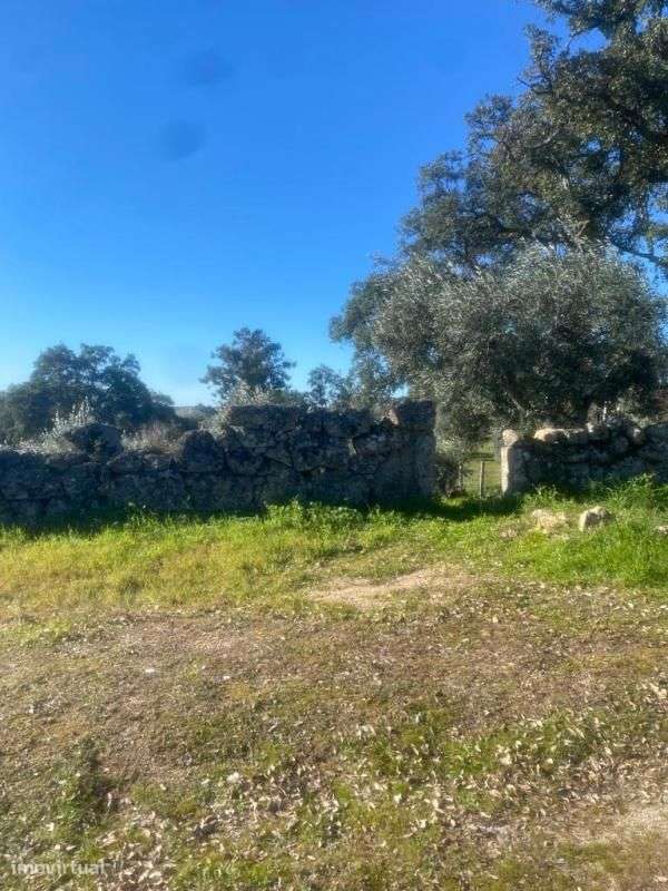 Terreno - Grande imagem: 1/5