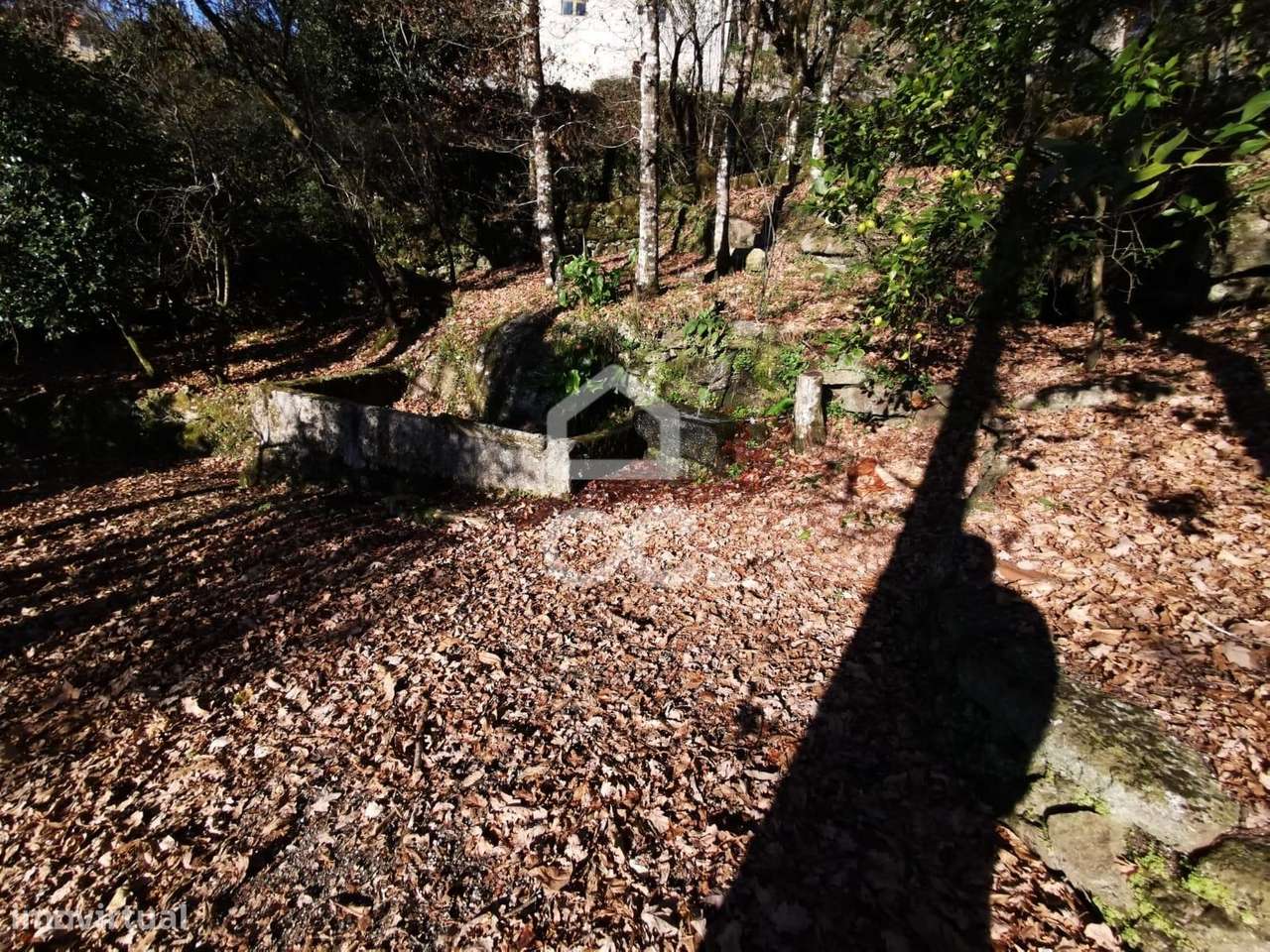 Quinta à venda em Rossas, Vieira do Minho-20