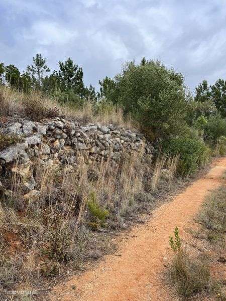 Terreno Rustico - Pedrogao - Serra de Aire e candeeiros - Grande imagem: 4/10