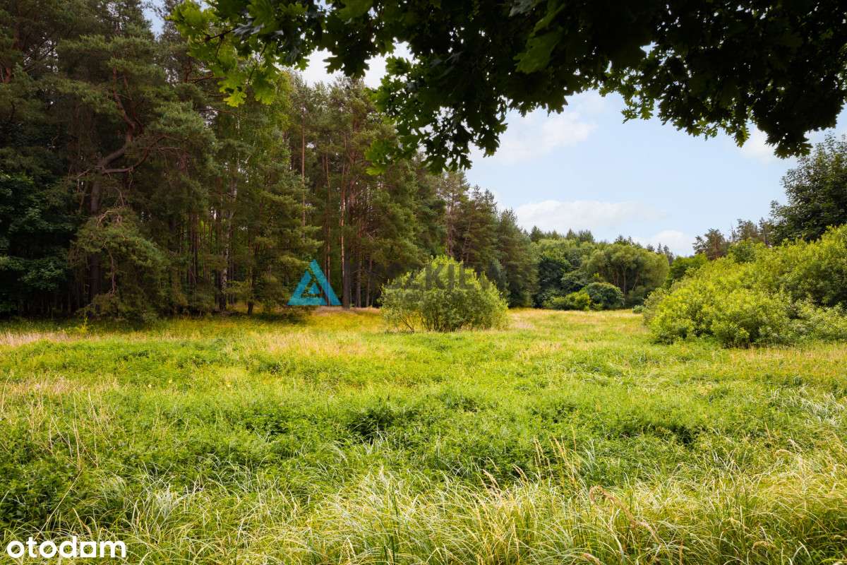 Działka przy lesie i koło rzeczki! - Pełny obrazek: 5/20