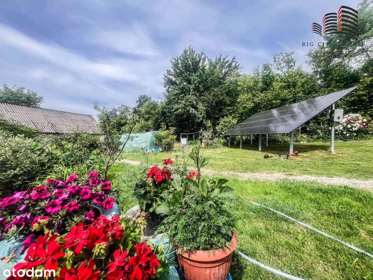 Siedlisko z domem 60mkw na zielonej działce - Pełny obrazek: 5/14