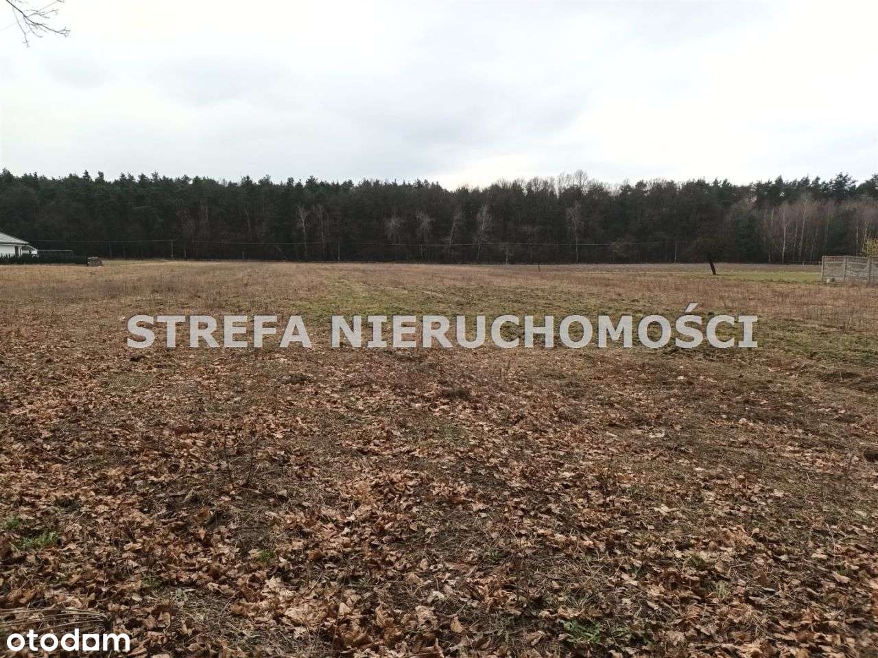 Piękna, szeroka działka w Tarnowskiej Woli - Pełny obrazek: 4/5