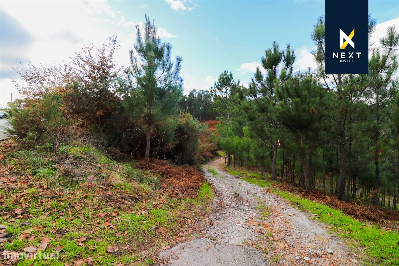 Terreno Urbano para venda na Sernada, Viseu - Grande imagem: 4/10