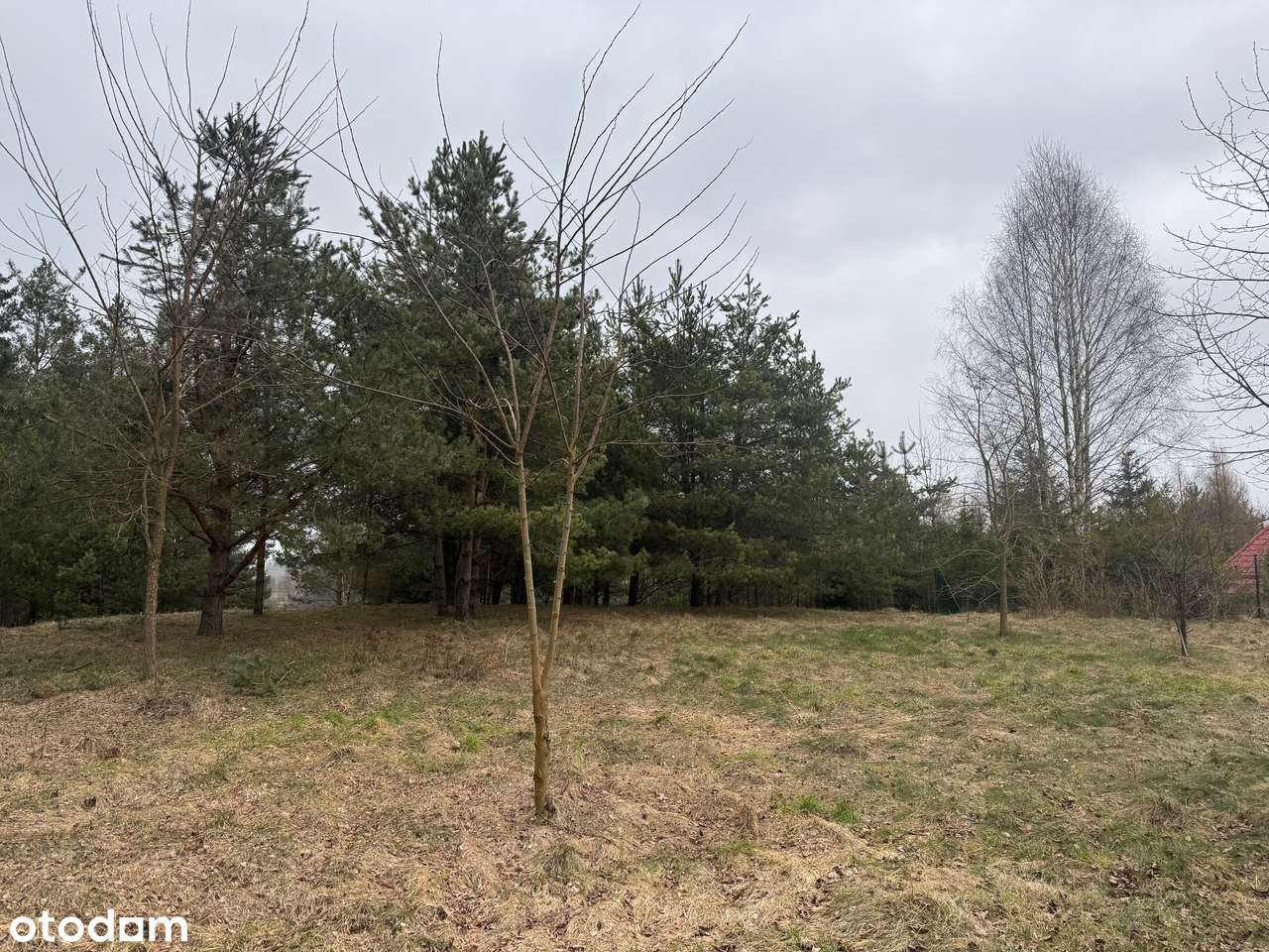 WYJĄTKOWA DZIAŁKA POMIECZYNO PRZODKOWO PONAD 3000m2-5