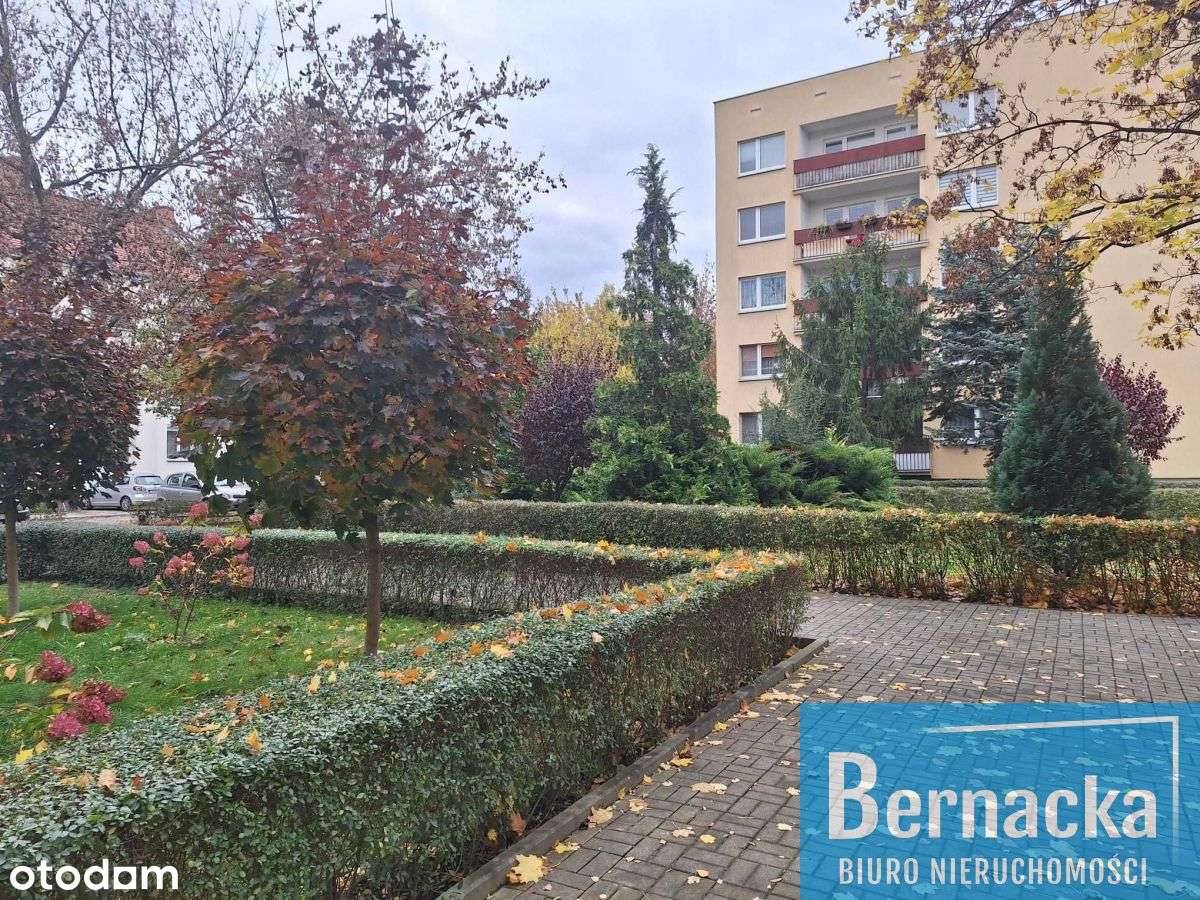 4-pokojowe, rozkładowe, blisko Parku-11