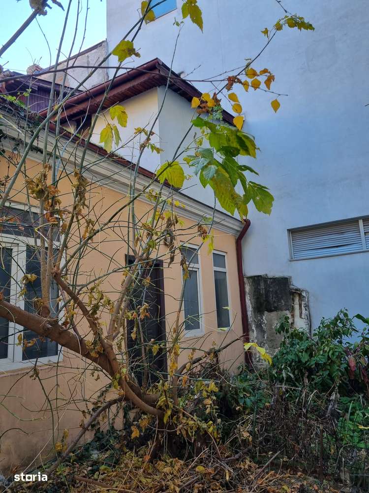 Casă pe parter, poziție premium – perfectă pentru investiție sau birou-2